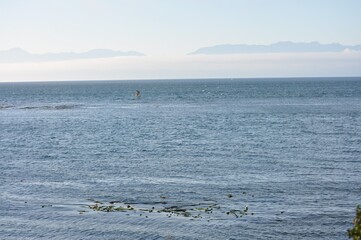 Obraz premium 6172020j