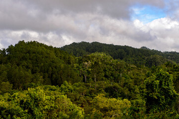 Fototapeta na wymiar Topes de Collantes, a nature reserve park in the Escambray Mountains range in Cuba.