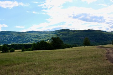 Panoramic view. Forests and fields. Green grass. Blue sky. Summer. Relax 