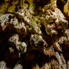 A cave in the Topes de Collantes, a nature reserve park in the Escambray Mountains range in Cuba.