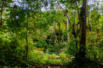 Topes de Collantes, a nature reserve park in the Escambray Mountains range in Cuba.