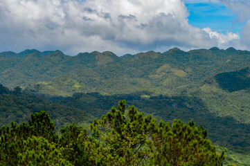 Obraz premium Topes de Collantes, a nature reserve park in the Escambray Mountains range in Cuba.