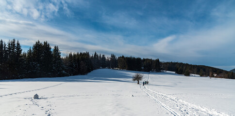 Winter scenery with snow covered meadow, hiking trail with few tourists, isolated tree, forest on...