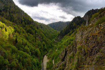 Naklejka premium Beautiful landscape of the green mountain hills of Romania
