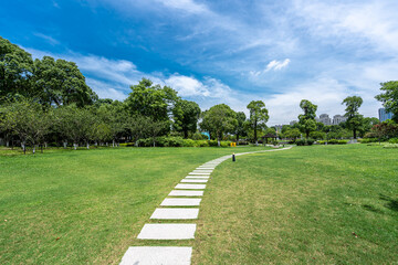 road in park