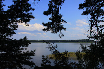 Landscape on lake Seliger behind the pine branches