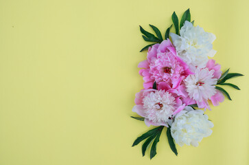 Floral composition of peony flowers on a yellow background. Spring background with white and pink flowers. Flat lay. Space for text.