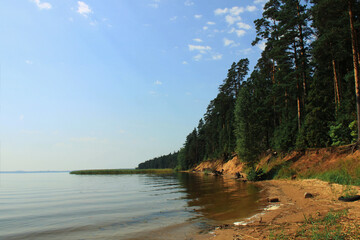 Sandy shore with pine trees on lake Seliger