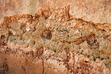 Texture of wall made of ocher.
