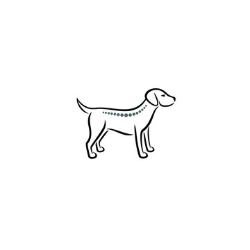 Animal Chiropractic logo / icon design