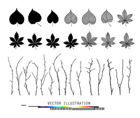 Leaves and branches set collection Isolated realistic vector in black and white color botanical illustration Floral creator constructor for your design Linden, chestnut leaf objects