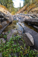 Riverbed of the Elk River, Idaho
