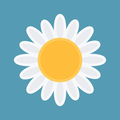 Sunflower Icon Floral Vector Illustration Background