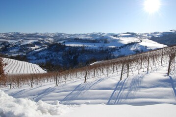 Fototapeta na wymiar Vineyard of Langhe with snow, Piedmont - Italy