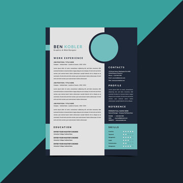 Professional Minimalist modern Resume CV curriculum vitae Template For interview