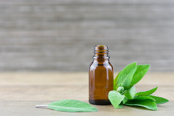 Sage, essential oil in a bottle, alternative medicine