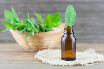 Sage, essential oil in a bottle, alternative medicine