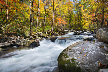 Mountain River in Autumn II