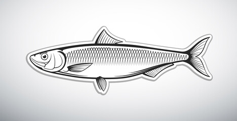 herring fish outline style vector illustration