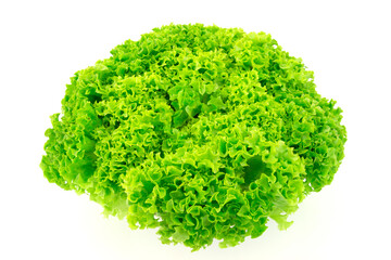 Green salad lettuce isolated on white background.