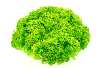 Fototapeta premium Green salad lettuce isolated on white background.