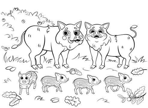 Cute cartoon boar family vector coloring page outline. Vector image with nature background. Coloring book of forest wild animals for kids