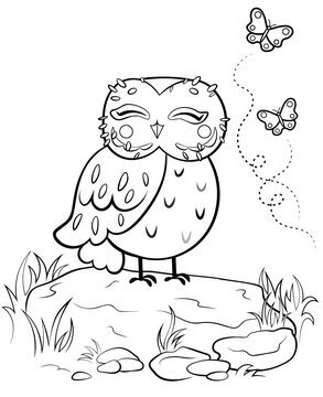 Printable coloring page outline of cute cartoon owl on stone with butterflies. Vector image with forest background. Coloring book of forest wild animals for kids