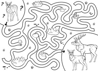 Help the little lost fawn find the way to his family. Maze or labyrinth game for preschool children. Puzzle. Tangled road. Black and white for coloring. Forest animals for kids