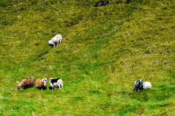 Faroe Island, Kingdom of Denmark