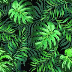 Green tropical palm leaves seamless vector pattern on the black background.Trendy summer print.