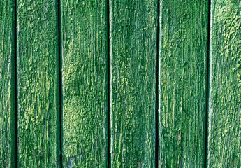 Fototapeta na wymiar Background. Texture. wooden green boards