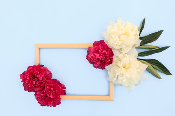 Peony flower composition on a blue background. Spring background with bright pink flowers. Flat lay. Space for text.