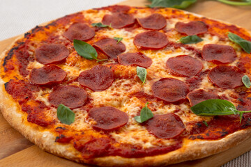 pizza with salami