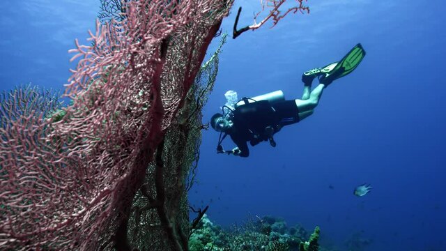 cave diving underwater scuba divers exploring cave dive. Red Sea Egypt