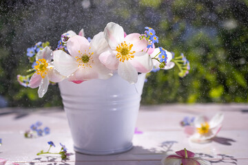Wildflowers in white decorative bucket on wooden surface against background of greenery. Spectacular splashes of water are floating in the air. Bright sunny day. Cute summer image for banner, postcard