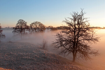 Morning with thick fog over the river. Dawn on a summer morning.