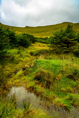 Faroe Island, Kingdom of Denmark