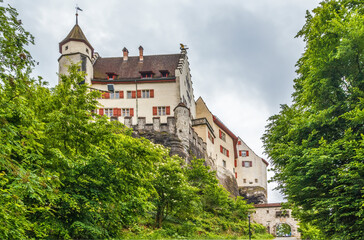 Fototapeta na wymiar Lenzburg Castle, Switzerland