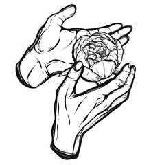 Vector illustration. Peony in the hands, prints on T-shirts, tattoos, background white. Handmade