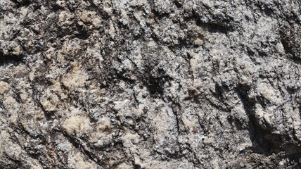 Closeup of a natural gray stone. Texture. Background. Scenery.