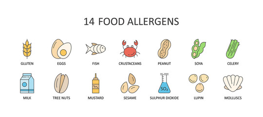 Vector color icons of 14 major food allergens. Editable Stroke. Milk lupine celery peanuts nuts sesame sulphur dioxide crustaceans. Gluten free eggs fish clams soy mustard. For web design and app