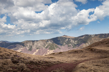 Mountain road with red rocks, dry, golden grass, distant, pointy mountain peak and highlands covered by pine trees and blue sky with fluffy clouds