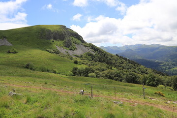paysages d'Auvergne