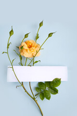 Creative flat flower arrangement with paper card and spring flowers. Realistic aesthetic look. Modern style.