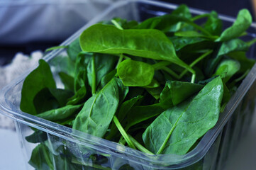 Fresh spinach leaves. Spinach Salad. .