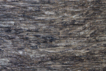 Fototapeta premium horizontal texture of old brown wood