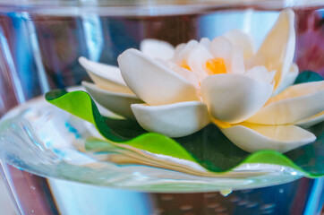 Paper lily flower floating on transparent water.