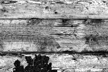 Wood texture background, wood planks. Grunge wood wall pattern