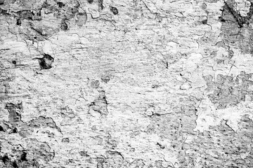 Art concrete or stone texture for background in grey and white colors