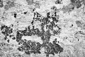 Art concrete or stone texture for background in grey and white colors